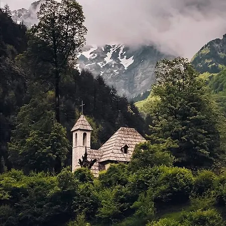 Bujtina Tinari *