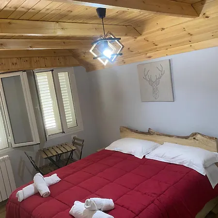 Bed & Breakfast Bujtina Tinari